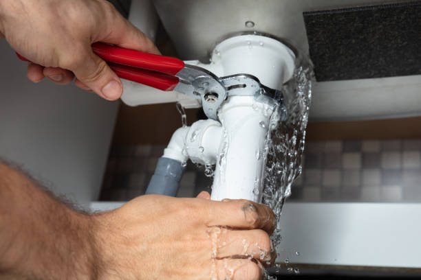 Best Fire Damage Restoration  in Dasher, GA