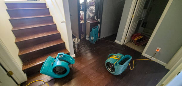 Best 24-hour water damage restoration  in Dasher, GA