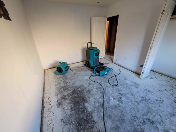 Best Carpet water damage restoration  in Dasher, GA