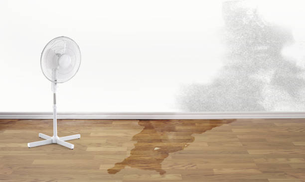  Dasher, GA Water damage restoration Pros