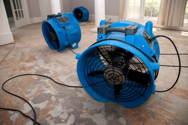 Best Water damage restoration near me  in Dasher, GA