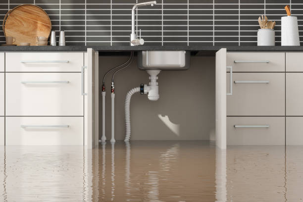 Best Water damage repair service  in Dasher, GA