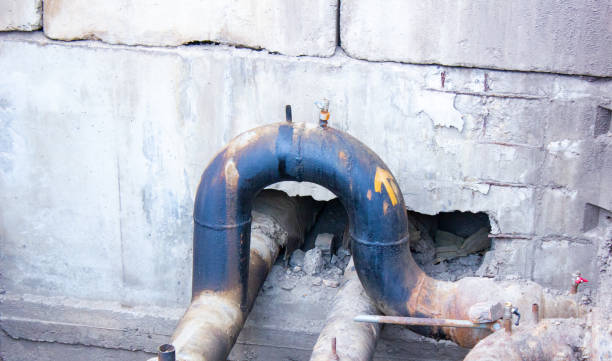 Best Flood damage cleanup  in Dasher, GA