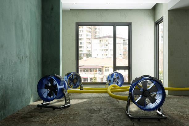 Best Flood restoration services  in Dasher, GA
